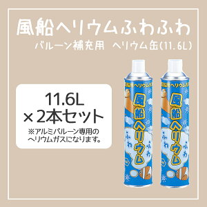 _^D wE 11.6L×2{Zbg wEKX {x A~ Dp [ o[ A~D a p[eB  ӂӂ  Cxg Dp D  Cxg a