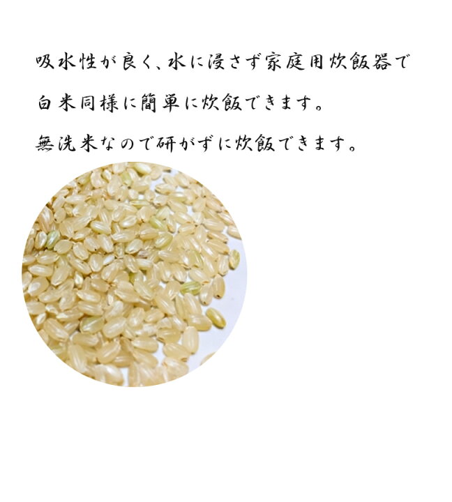 最高級 大潟村あきたこまち生産者協会 こだわり発芽玄米 栄養機能食品 鉄分 ビタミンB1 B6強化 1kg × 3袋