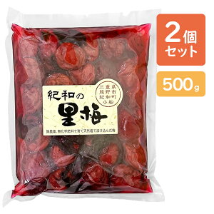 ~ Y Ia̗~ 500g×2Zbg Ђ Y Y _
