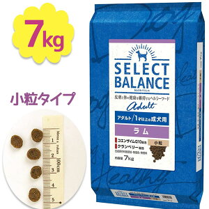 hbOt[h ZNgoX  A_g  1ˈȏ p 7kg ybgpi phCt[h GT a h{H ۑY xbc`CX