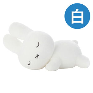 ₷th u[i STCY ʂ   23cm  NbV  傫 v[g a Mtg   fBbNu[it@~[