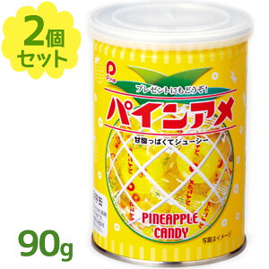 y}\N[|500~OFF!zpCA 90g×2Zbg ʓ ʋl   LfB[ َq ʉَq XC[c  q l Ɩp p ƒp ۑ