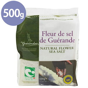 VR e Qh̉ t[ h Z C̉ 500g  牖 C V    ĂՂ tC tXY  Ɩp C 