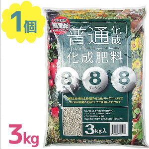 엿 3kg ʉ엿 8-8-8  ͍ ϗtA |pi ʕ  w엿 K[fjO y ͔ _ ƒ؉ A Y OH