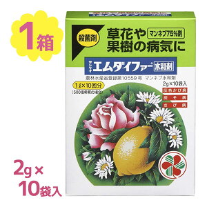 ZFw| Eۍ TPCG_Ct@[a 2g×10 | A ΍ ƒ؉ K[fjO |pi a \h یEۍ