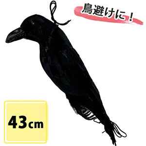 yX[p[SALEŎg!500~OFFN[|zz!z_~[JX 43cm JX悯 ΍ x_  }V ꌬ p ƒp ͌^ l` U A Q Nh~ ng  XY 