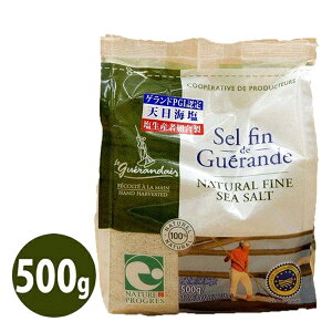 ゲランドの塩 セルファン 500g フランス産 細粒 食塩 基礎調味料 業務用 大容量