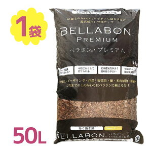 y}\N[|500~OFF!zx{ v~A 50L | K[fjO y V̎`bv ϗtA A ChAO[