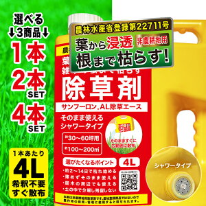  Tt[AL 4L Pi/2Zbg/4Zbg t _knp ܂Ō͂炷 Ɩp G΍