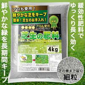 Ő 엿 4kg { ח Ɍ St eBtg 엿 O[ Ɩp