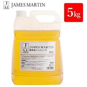 WF[Y}[eB pAnh\[v() 5kg l֗p E  ێ JAMES MARTIN