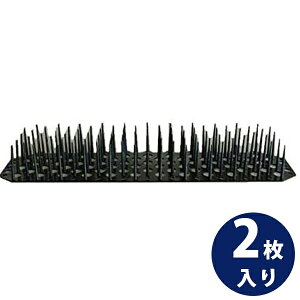 y}\N[|500~OFF!zQb悯 Ƃ}bg Ƃs[  2 x_  ng L Q΍ Nh~ \h