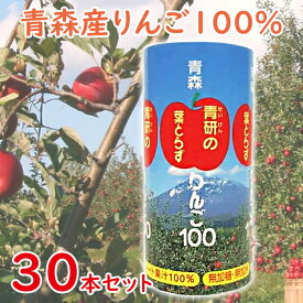 青森県産 青研 葉とらずりんごジュース ストレート100%果汁 195g×30本セット 無添加 国産 紙パック ギフト アップルジュース アップルジュース
