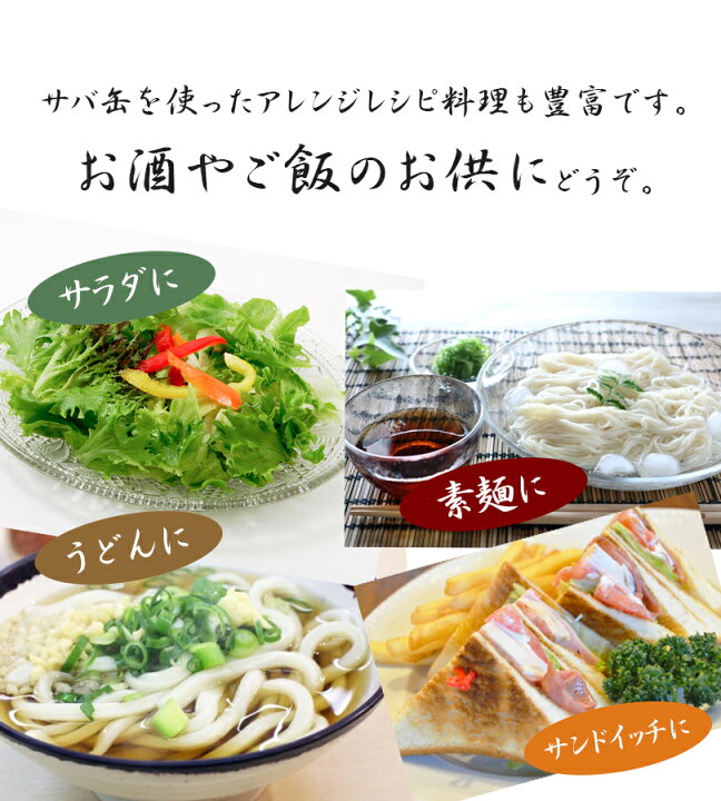 水煮24缶 みそ煮24缶セット サバ缶 脂 高木商店 お酒 190g さば 48 缶詰 ワイン 日本酒 水揚げされる寒さば に 秋冬 水煮 お取り寄せグルメ48缶 ビール 1年を通して最も 寒さば 美味しい 国産 おつまみ がのり N カンヅメ