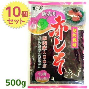 Ԃ t 500g×10Zbg ~Зp Y ㎿߂񂶂gp _Hi