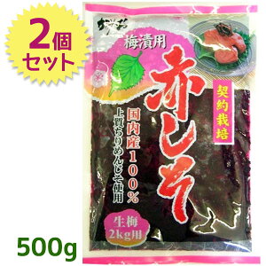 Ԃ t 500g×2Zbg ~Зp Y ㎿߂񂶂gp _Hi