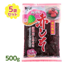 赤しそ 葉 500g×5個セット 梅漬用 国内産 上質ちりめんじそ使用 神尾食品