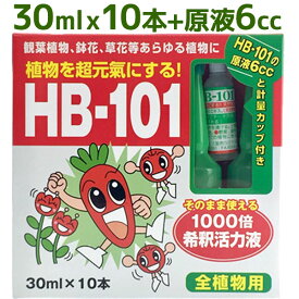 楽天市場 観葉植物 アンプルの通販