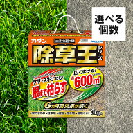 フマキラー 除草剤 カダン 除草王 オールキラー 3kg 粒剤 雑草 庭 園芸用品 農業 畑 雑草対策 雑草除去 …