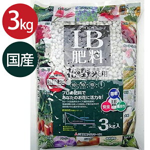 IB엿  o  3kg  Y Ɩp Ɍ엿 ƒ؉ |pi K[fjO v^[ A yǍ ϗtA e Aؔ y͔|