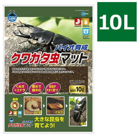 楽天市場 クワガタの通販