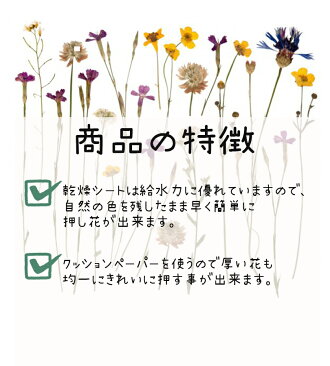 楽天市場 送料無料 押し花 乾燥シートセット 6枚入 手作りキット 初心者 ハンドメイド ものづくり ドライフラワー 保存 アート作品 ホビー 趣味 Fs 106 ライフスタイル 生活雑貨のmofu 楽天市場 送料無料 押し花 乾燥シートセット 6枚入 手作りキット 初心者 ハンドメイド ものづくり ドライフラワー 保存 アート作品 ホビー 趣味 Fs 106 ライフスタイル 生活雑貨のmofu