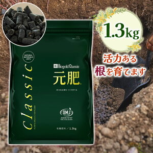 yX[p[SALEŎg!500~OFFN[|zz!z엿 oCIS[h NVbN  1.3kg ϗtA   o { K[fjO ~ |pi A ͔ _ ƒ؉ ͍ y