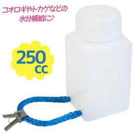 楽天市場 コオロギ 水の通販 楽天市場 コオロギ 水の通販