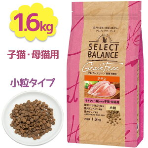 Lbgt[h ZNgoX OCt[ Lg `L  12̎qL Lp 1.6kg ybgpi LphCt[h GT a h{H