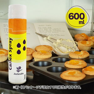 y}\N[|500~OFF!zICXv[ [[fBA J[bNXXv[ 600ml  Hp^ ^ p Hp T_ I_Y