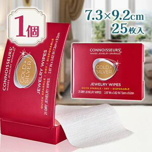 ANZT[  NX WG[CvX 25 S[h/Vo[/v`ip N[i[ PA pi | N[jO