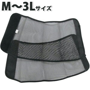 bV rJ Ln  S4TCY M L LL 3L Ɨp ی ~  F-987 xm܍H