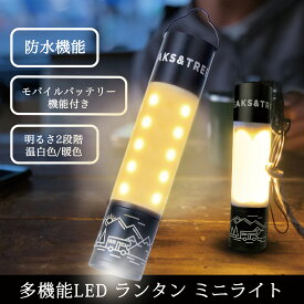 モバイルバッテリー機能付き LEDライト 充電式 LEDミニランタン 懐中電灯 MINI LIGHT コンパクト 屋外 アウトドア キャンプ用品 防災グッズ おしゃれ ハンディライト 照明 フラッシュライト PEAKS&TREES