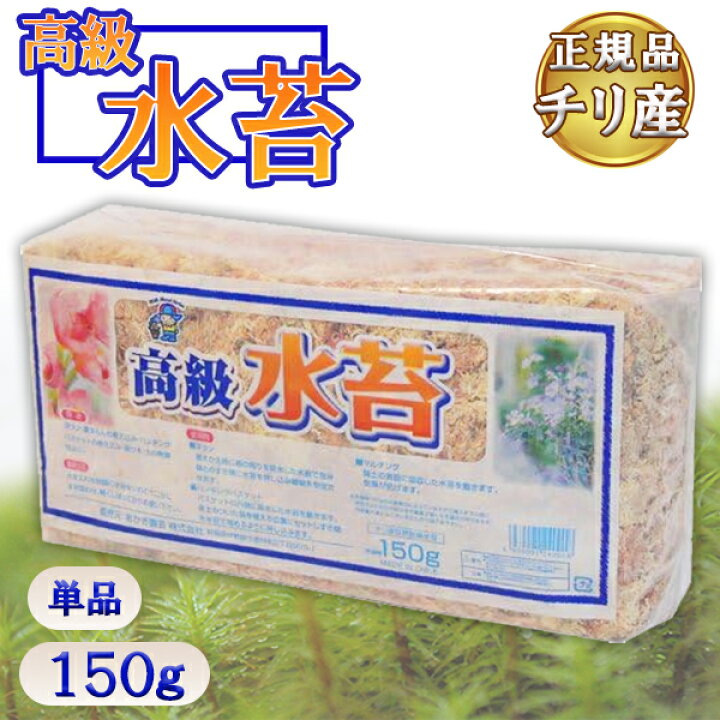 楽天市場 最大1000円offクーポン配布中 送料無料 水苔 150g ミズゴケ 水ごけ チリ産 家庭菜園 ガーデニング 植え換え 胡蝶蘭 洋蘭 ラン 乾燥防止 観葉植物 園芸用品 あかぎ園芸 高級水苔 業務用 家庭用 ライフスタイル 生活雑貨のmofu