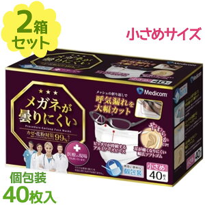 sDz}XN   fBRWp Kl܂ɂ}XN ߃TCY 40×2Zbg lp  j zCg ĝ v[c 