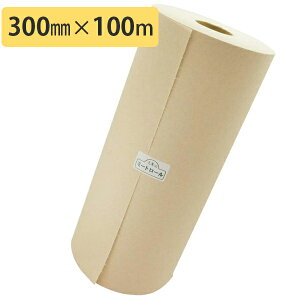 ~[gy[p[ ~[g[ 300mm×100m ~Vڕt ̕ۑV[g vdl n V[g H  ۑN o[xL[ x[R {