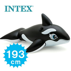  V` CebNX zG[ChI 58561 q l   傫 j̎q ̎q V  CJ