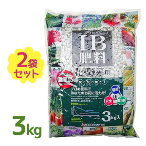 yX[p[SALEŎg!500~OFFN[|zz!zIB엿  o  3kg 2Zbg  Y Ɩp Ɍ엿 ƒ؉ |pi K[fjO v^[ A yǍ