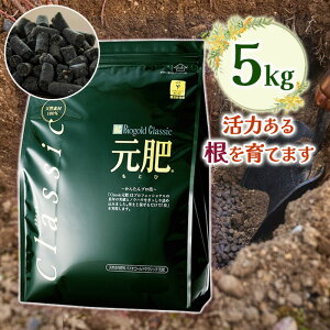 엿 oCIS[h NVbN  5kg ϗtA   o { K[fjO ~ |pi ͔ _ ƒ؉ ͍ yǍ Ɩp