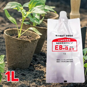 |pi yǍ EB-aGR 1L t | ƒ뉀| K[fjO  Ǘ y y c c\  ʋC ې