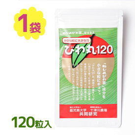 【クーポン利用で￥500オフ！】 サプリメント 十津川農場 びわ丸 250mg×120粒入 びわ茶 ポリフェノール ノンカフェイン 健康維持 【スーパーセール】