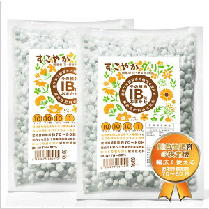 IB 엿 嗱  1kg×2Zbg ԁEؗp y h{  ǔ u  ƒ؉ Ɩp K[fjO A ϏܐA