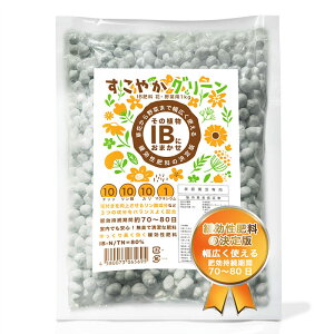 IB 엿 嗱  1kg ԁEؗp y Ɍ엿 h{  ǔ u  ƒ؉ Ɩp K[fjO A ϏܐA