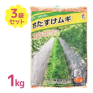 엿 y 唞Δp M 1kg 3Zbg  ܂Ƃߔ ƒ؉ Ɩp K[fjO G