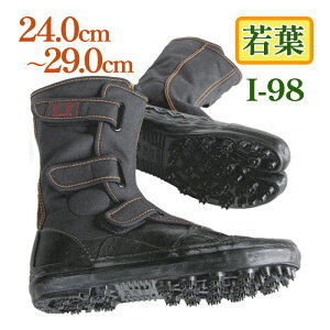  SsXpCNV[Y t I-98 n Ɨpi ƌC RȂ 24cm - 29cm