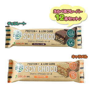 veCo[ SOY CHOCO 12{ PROTEIN+&LOW CARB veCvX&J[{  `R[g L ᓜ ς