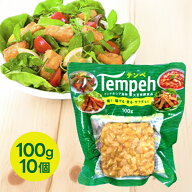 テンペ 100g 10個セット 発酵食品 ヘルシー 大豆ミート 糖質制限 大豆 タンパク質 置き換え 保存食 非常…