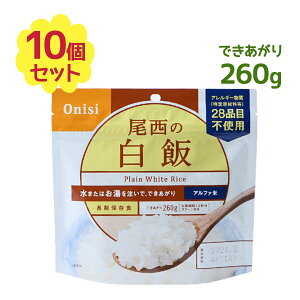 Hi ̔ 260g 10H H  At@ Y ~ ЊQp AM[28iڕsgp  ȒP lC