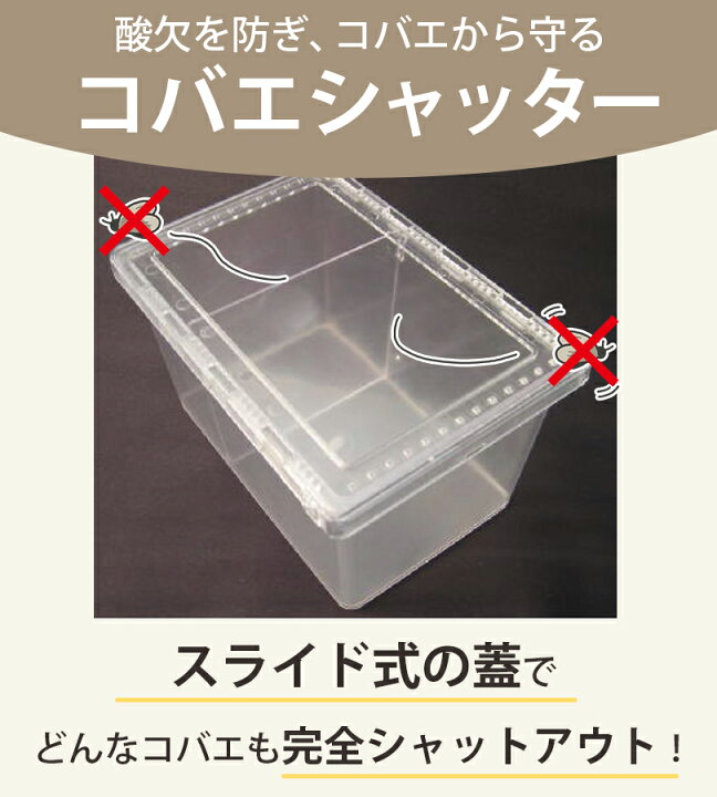 楽天市場】【マラソン限定クーポンで500円OFF!】飼育ケース 