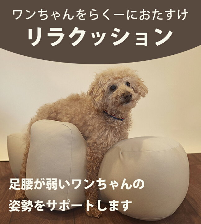楽天市場】リラクッション アロン化成 ペット Mサイズ OneAid 全3色 